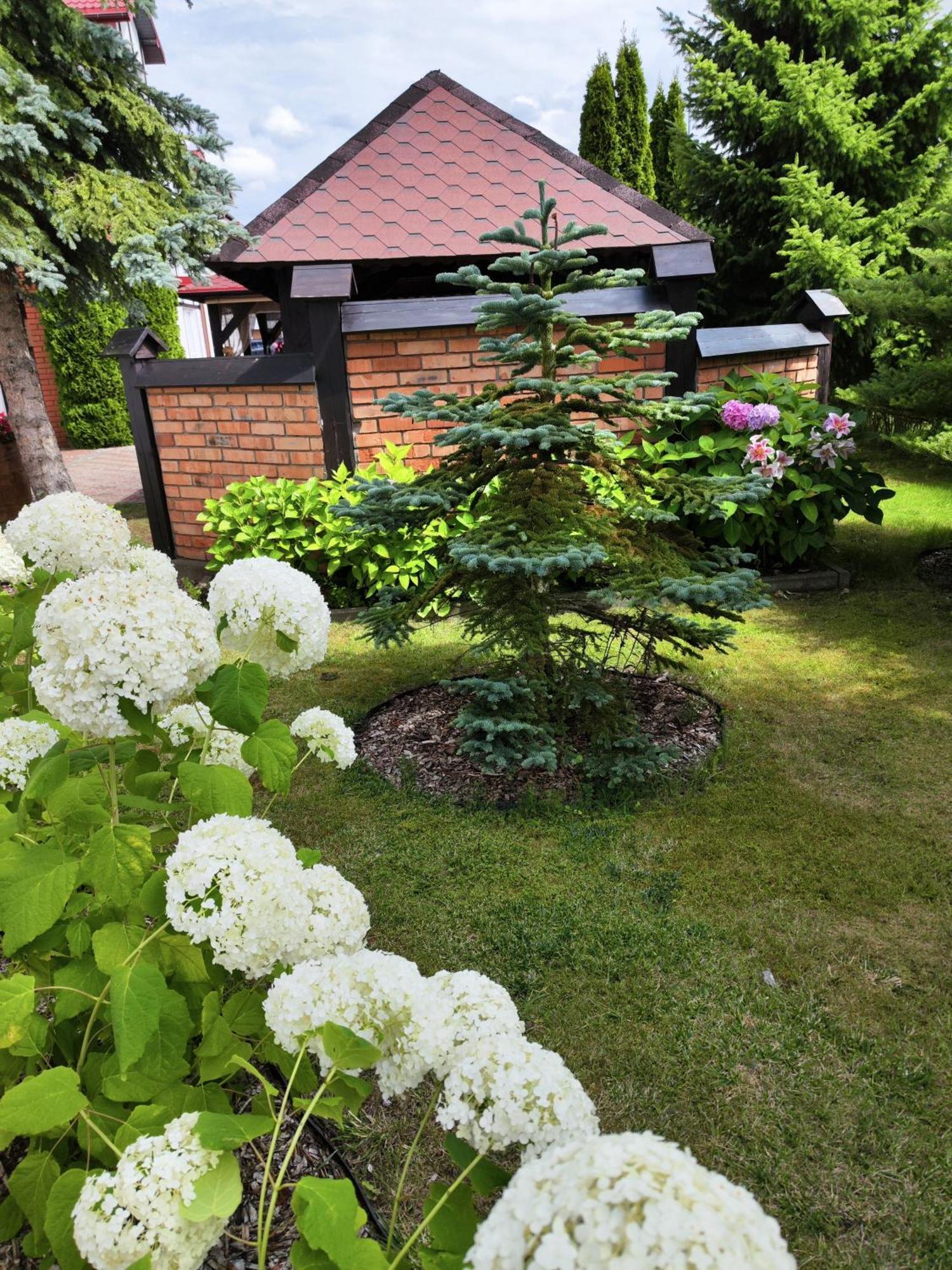 Michalek W Rowach Bed and Breakfast Rowy  Buitenkant foto